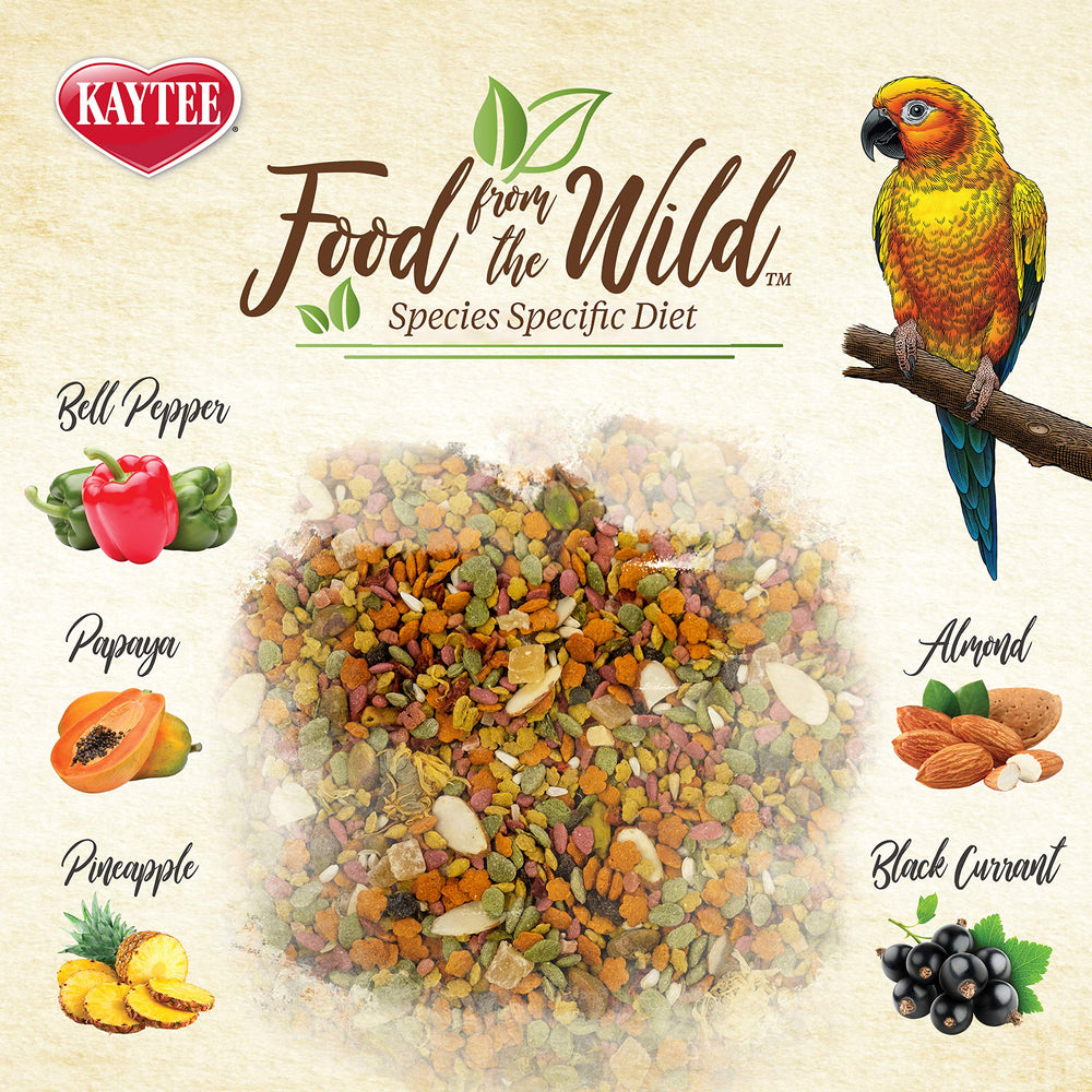 Kaytee mélange dans un distributeur montrant engagement au foraging de l'oiseau