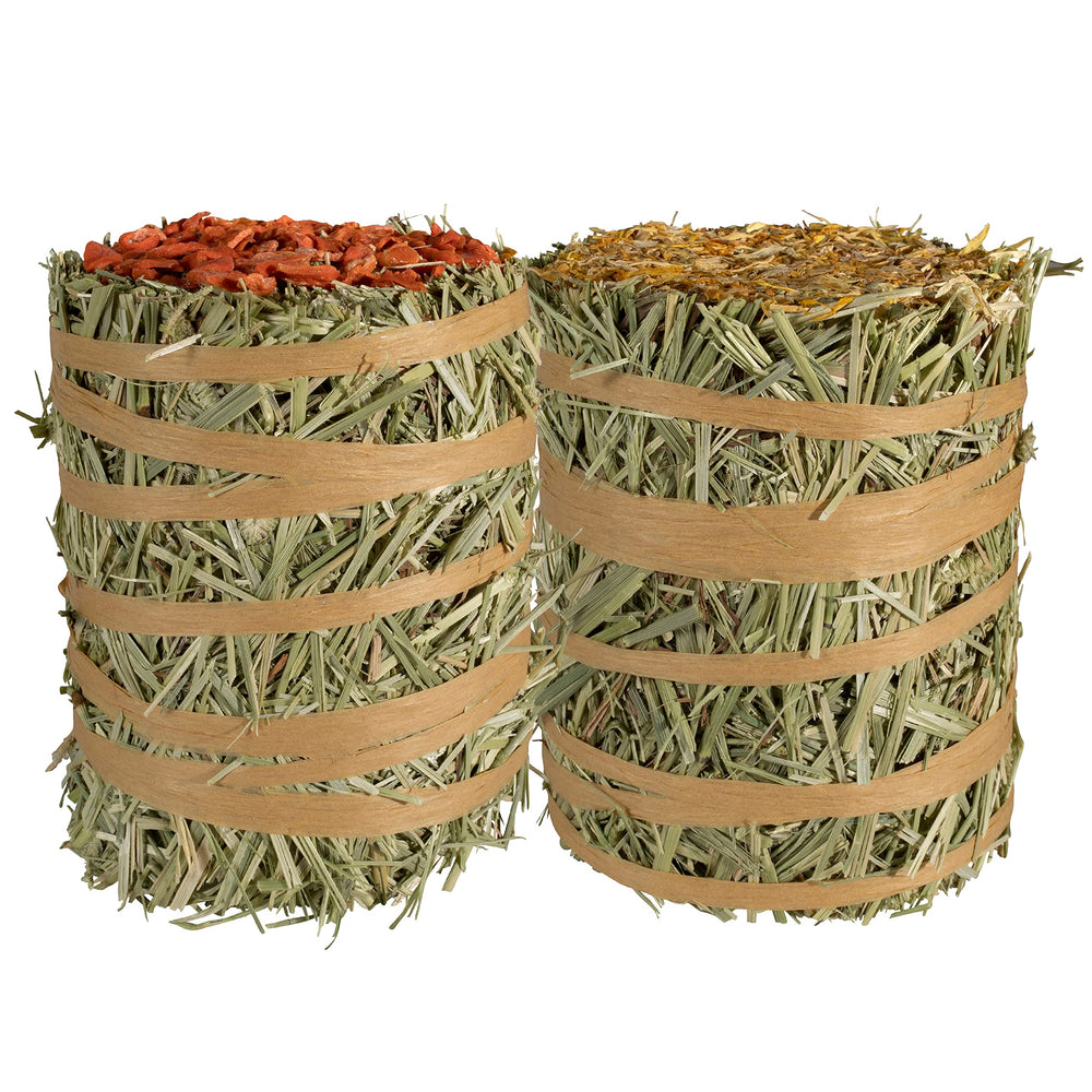Kaytee garniture souci fleur ajoutant variété visuelle et enrichissement alimentaire