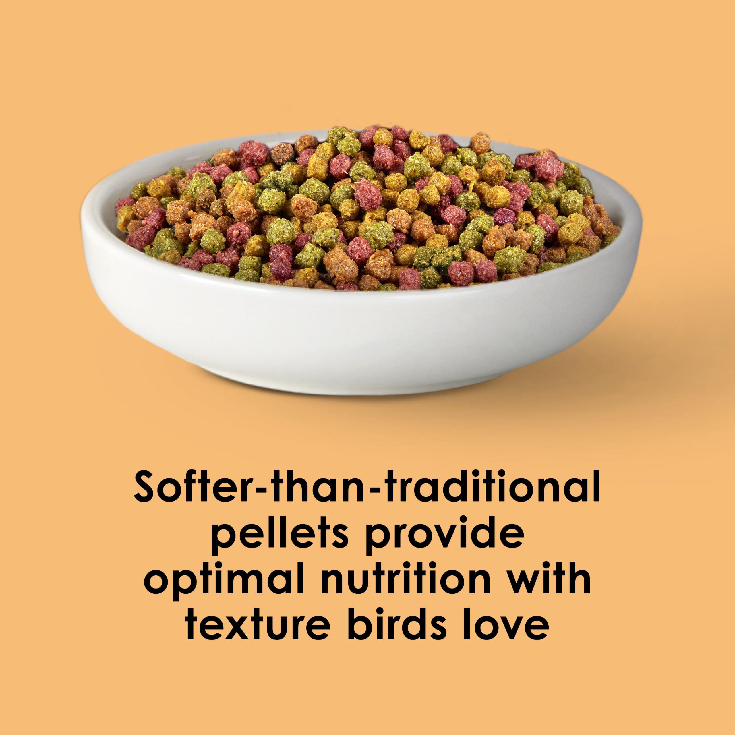 Sachet Kaytee NutriDelight à côté d'une main pour comparaison de taille pratique
