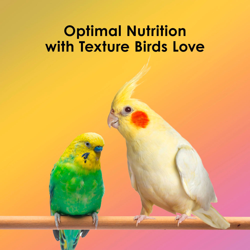 Coupelle remplie de Kaytee NutriDelight montrant couleurs naturelles et variété