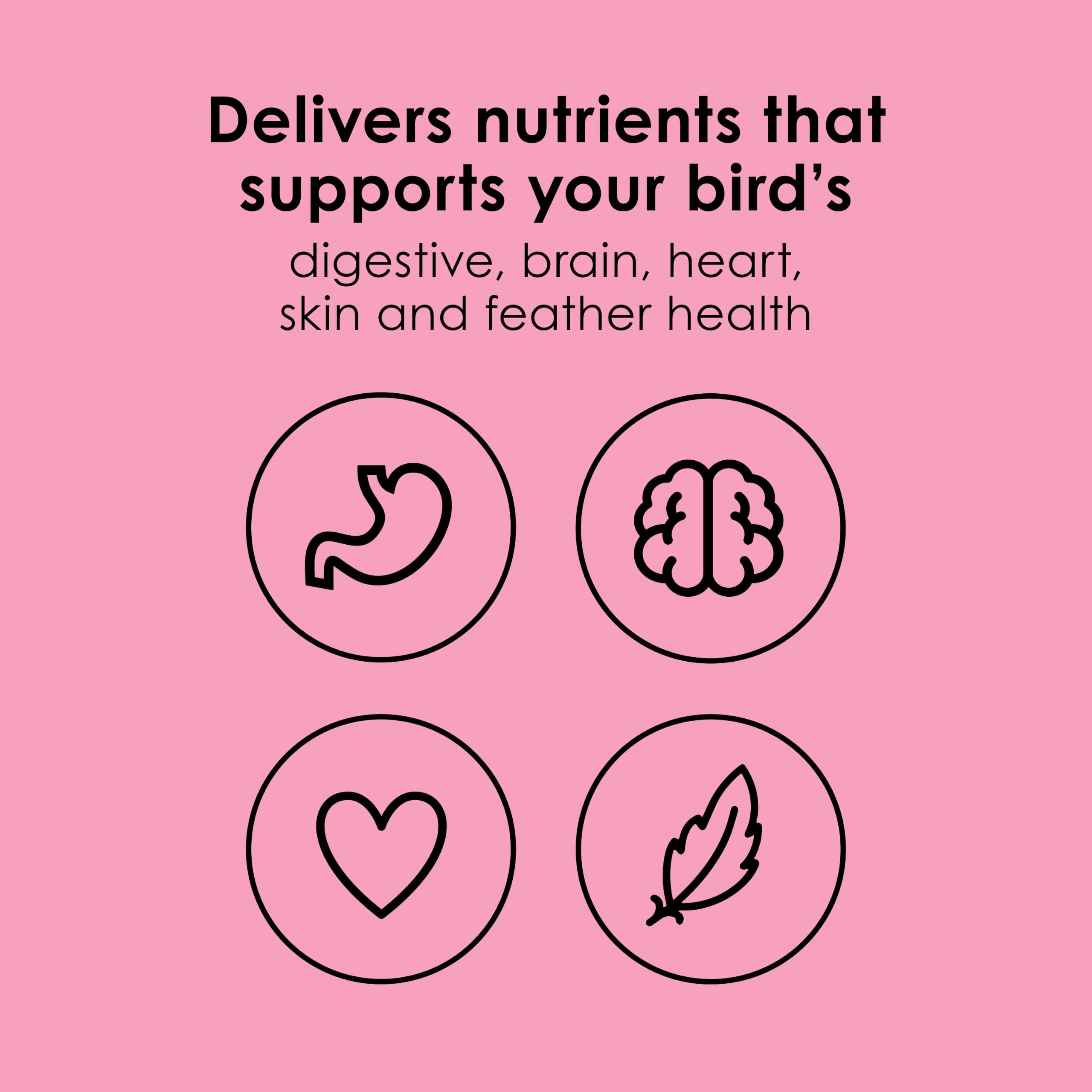 Perroquet mangeant Kaytee NutriDelight en cage montrant engagement et appétence