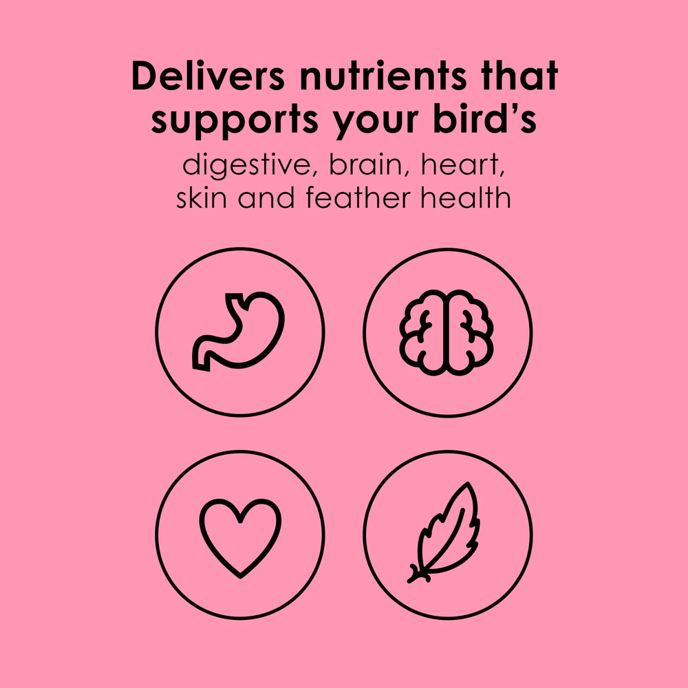 Perroquet mangeant Kaytee NutriDelight en cage montrant engagement et appétence