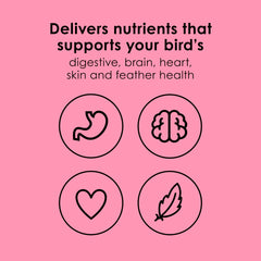 Perroquet mangeant Kaytee NutriDelight en cage montrant engagement et appétence