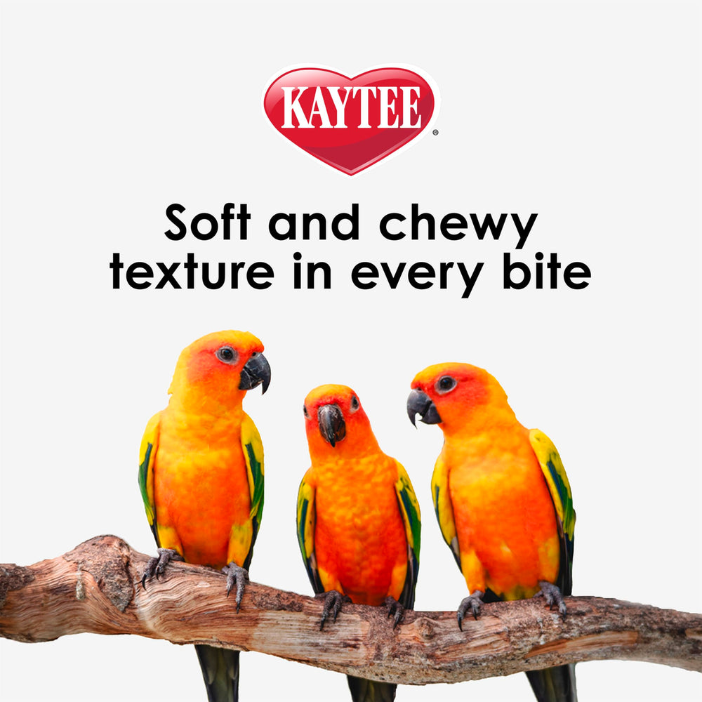 Kaytee oiseau mangeant Nutri Soft démontrant acceptation rapide