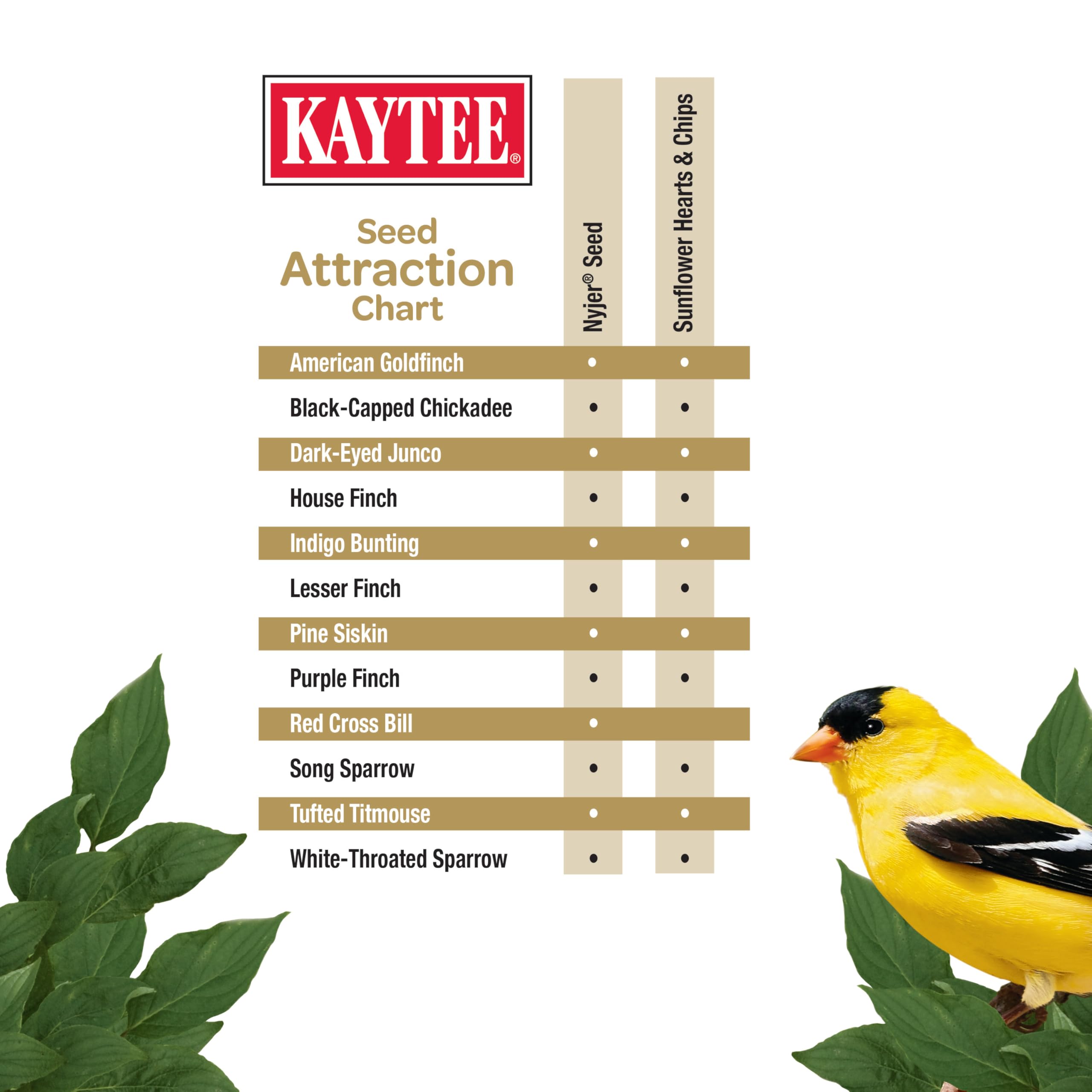 Kaytee plusieurs oiseaux sur une mangeoire, illustre augmentation des visites