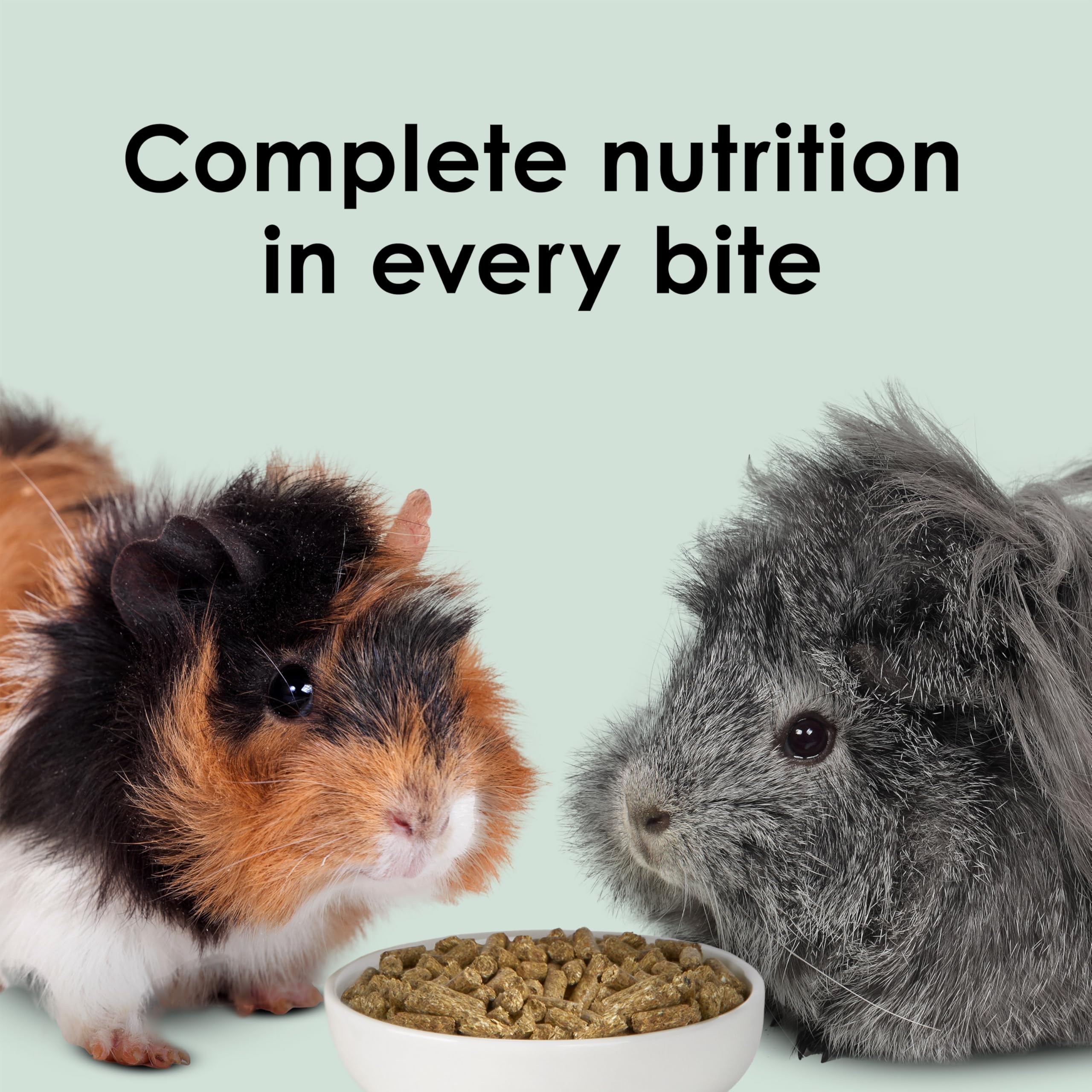 Kaytee zoom panneau ingrédients listant foin timothy en premier ingrédient