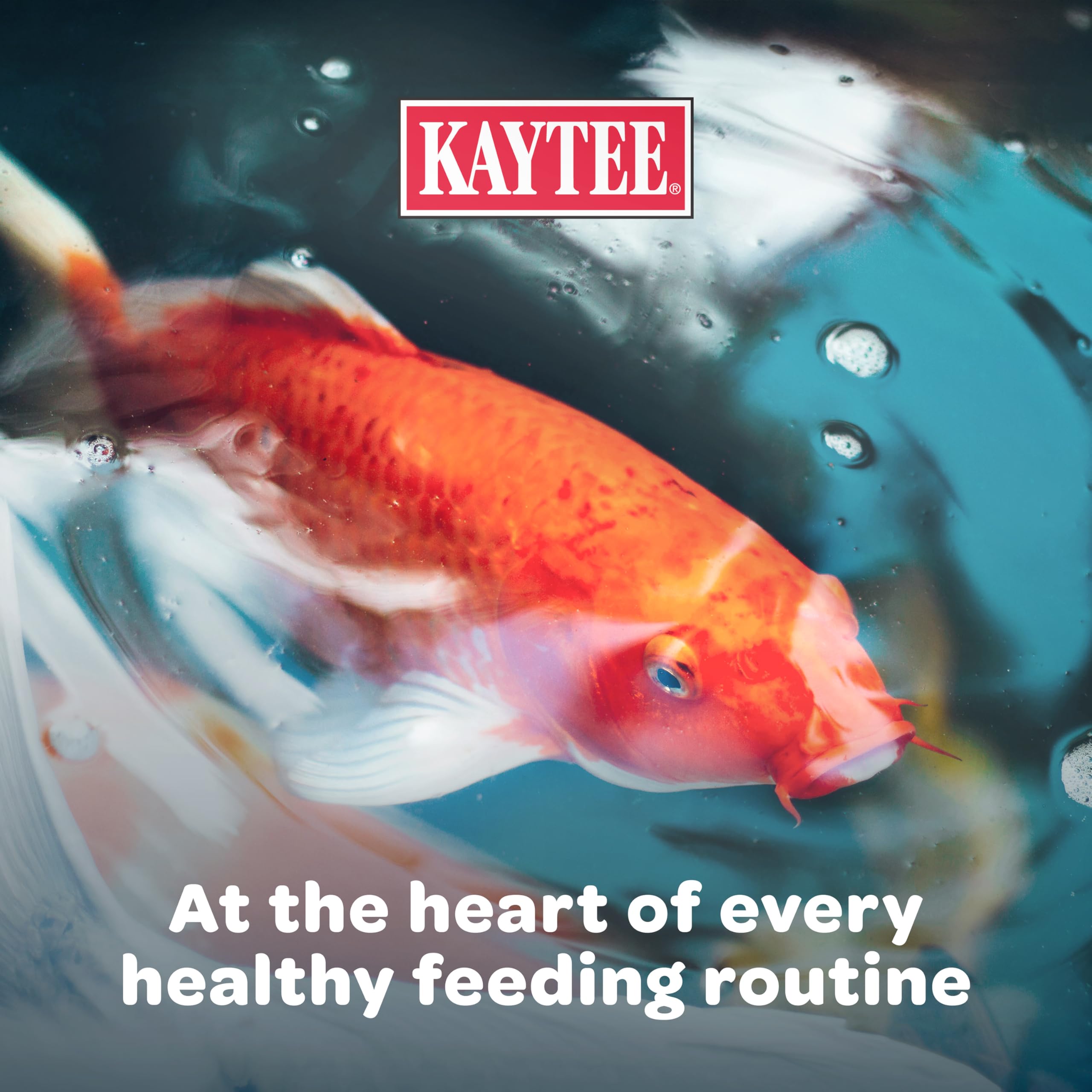Kaytee portionnement à la main montrant contrôle des rations