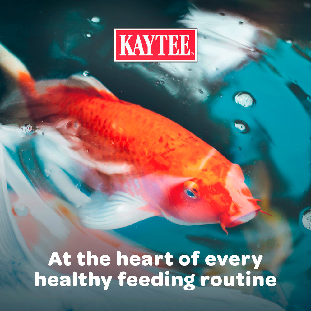 Kaytee portionnement à la main montrant contrôle des rations