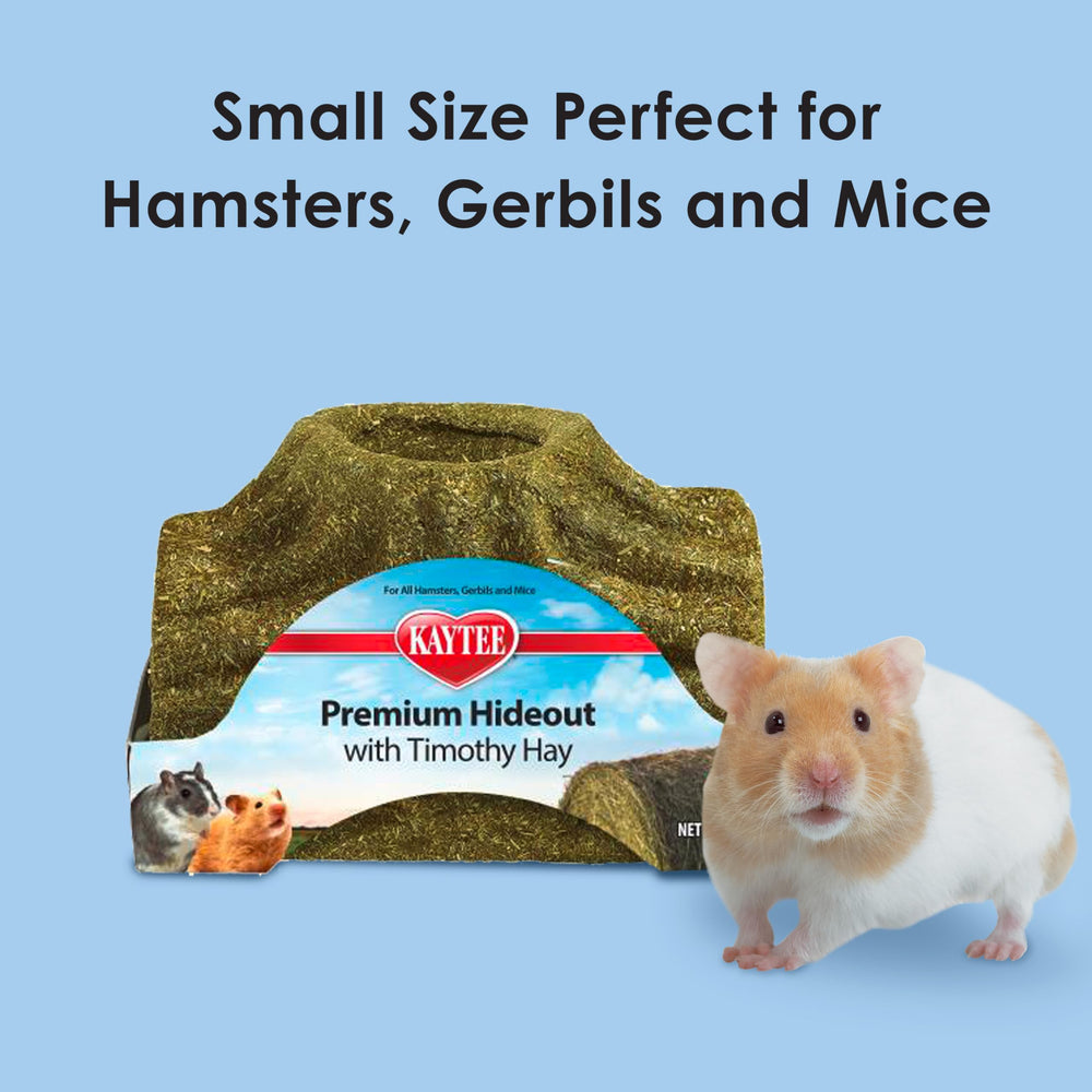Kaytee scène de vie hamster dans cachette montrant confort et comportement naturel