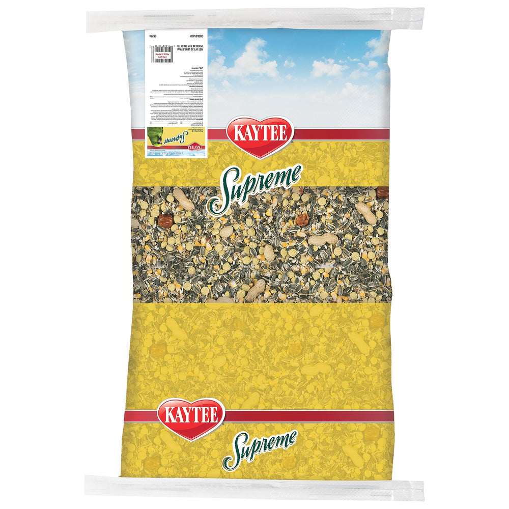 Kaytee Supreme dans cuisine lumineuse avec perroquet sur la main, style de vie et alimentation quotidienne
