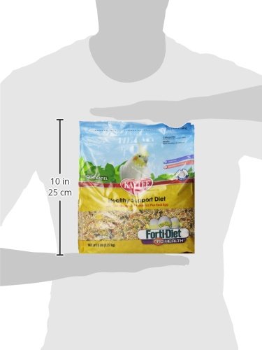 Kaytee gros plan sur éclats d'œuf réels fournissant protéines de haute qualité
