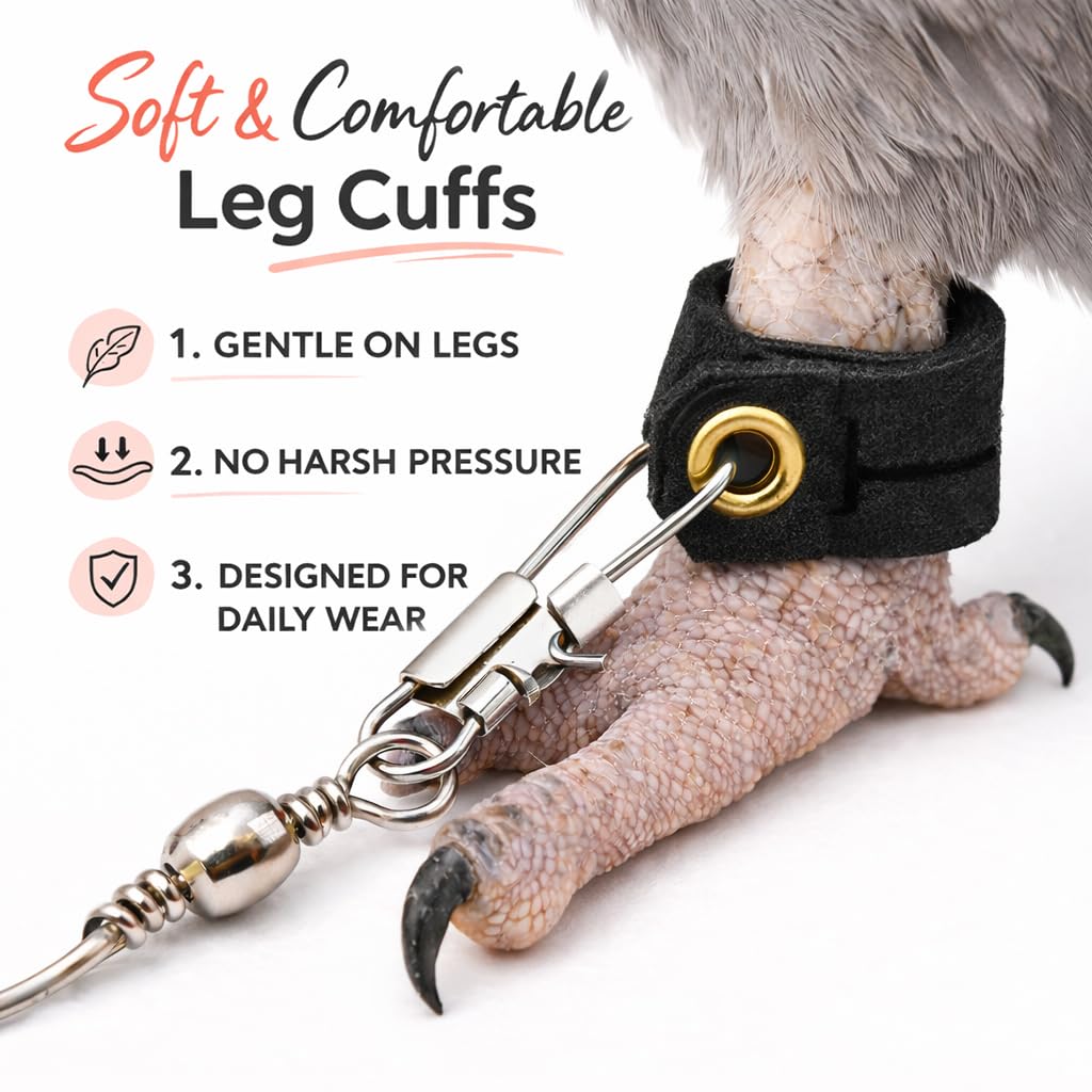 kcrygogo texture douce de l'anneau pour protection des pattes