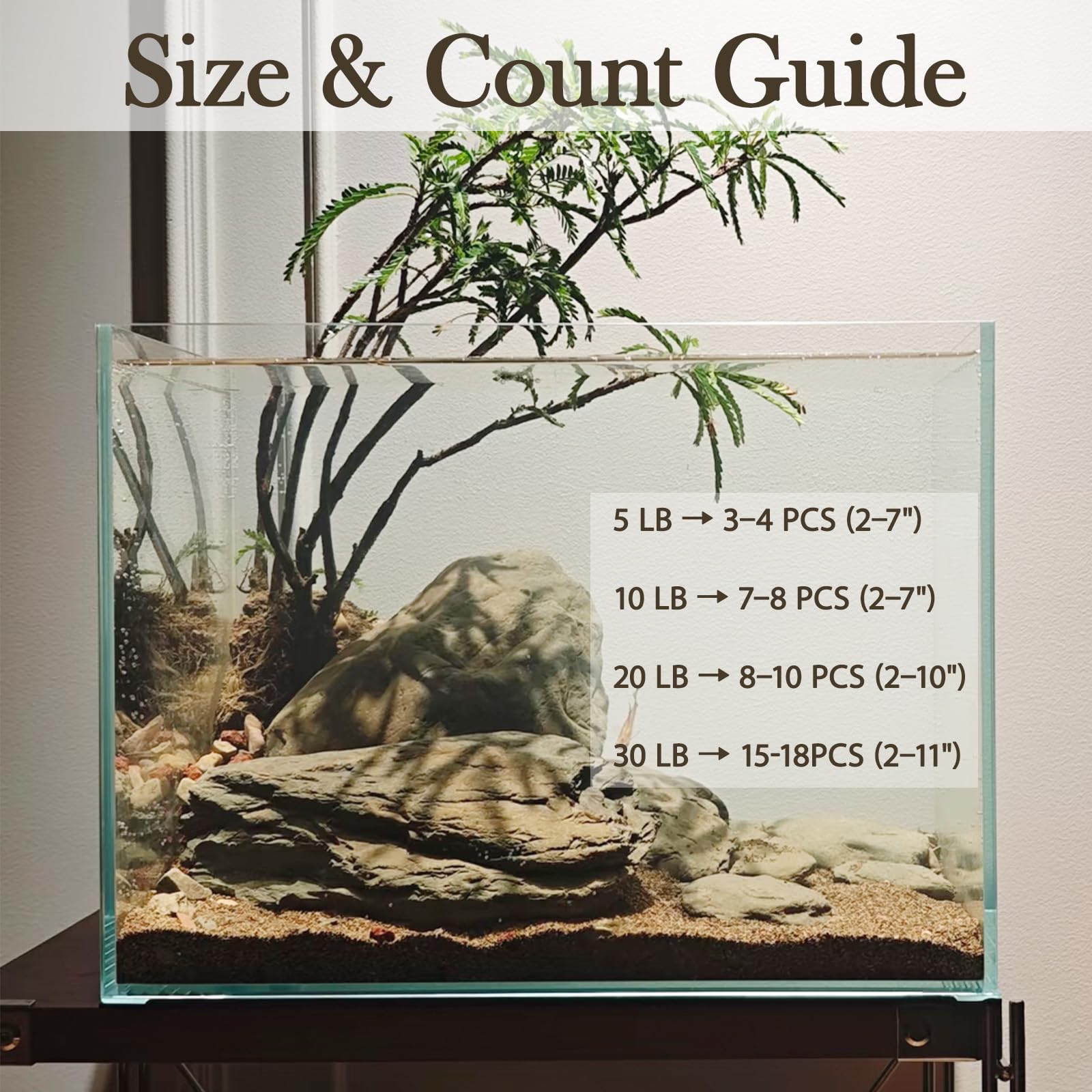Kecilke pierre utilisée dans terrarium pour reptile offrant zones d'escalade