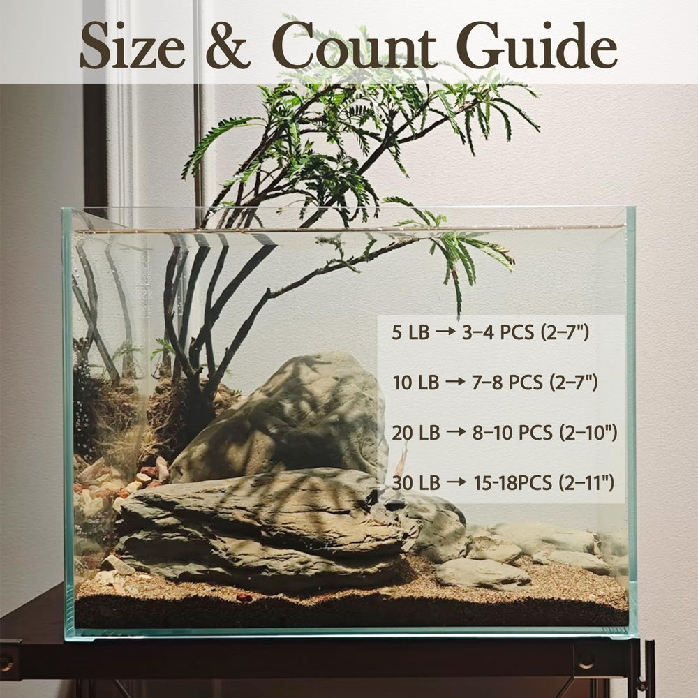 Kecilke pierre utilisée dans terrarium pour reptile offrant zones d'escalade
