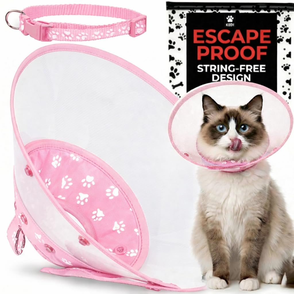 Kedi Cats Solutions collier cône rose face avant montrant protection et maintien