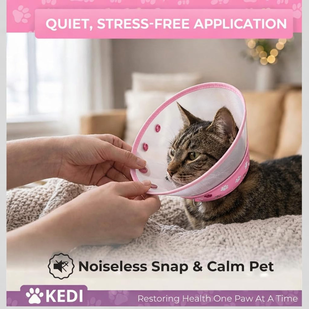 Kedi Cats Solutions collier porté par un chat pour démontrer sécurité et mobilité