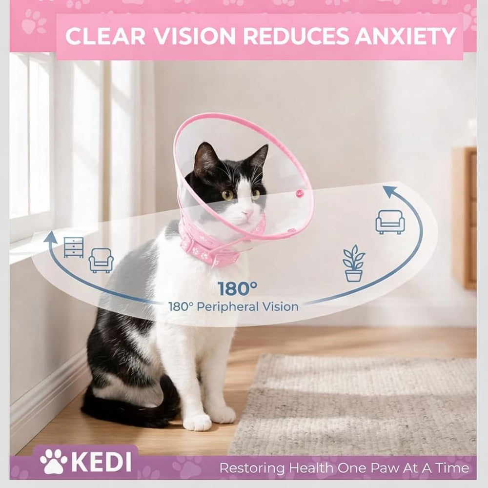 Kedi Cats Solutions taille M comparée avec règle pour ajustement précis