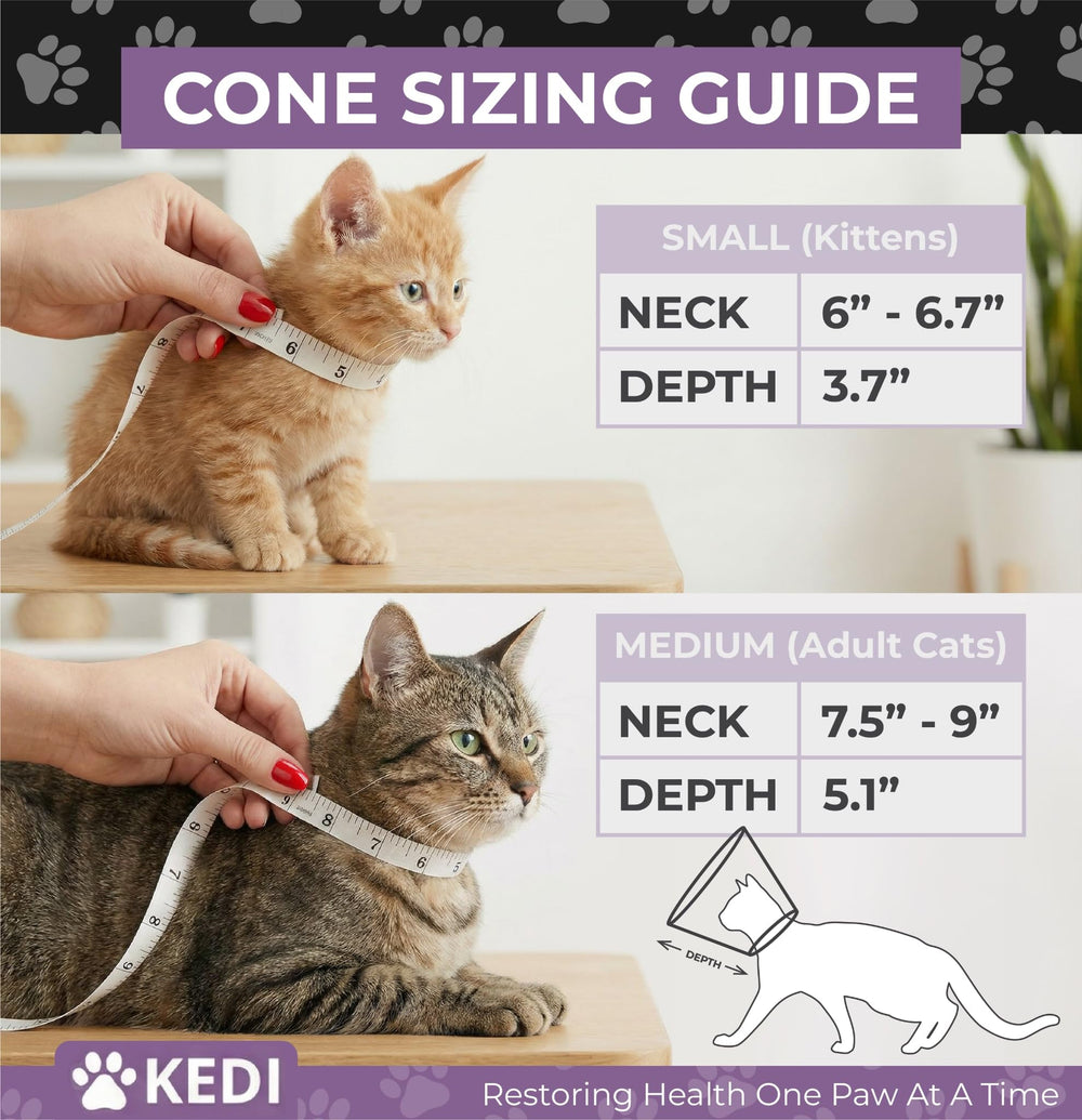 Kedi Cats Solutions fenêtre transparente assurant vision élargie et moins de stress