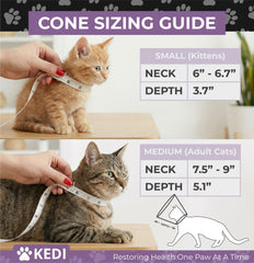 Kedi Cats Solutions fenêtre transparente assurant vision élargie et moins de stress