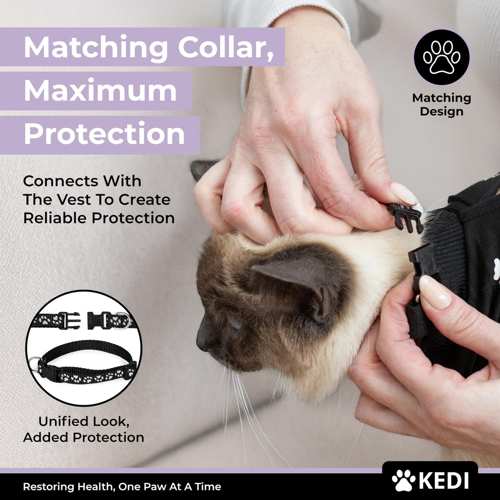Kedi Cats Solutions comparaison de taille montrant ajustement précis et sûr