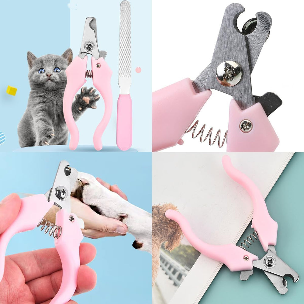 KEEPLKVOC kit utilisé sur un chien calme en contexte domestique pour routine facile
