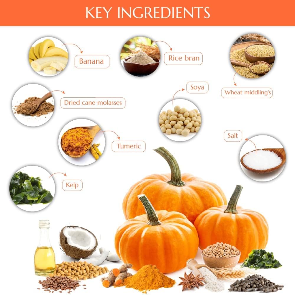 Kelcies Pumpkin Spice étiquette ingrédients clairs bénéfice transparence