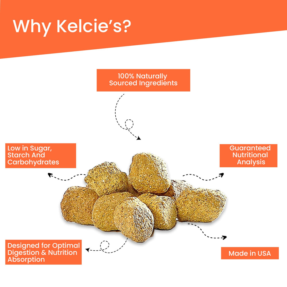 Kelcies Pumpkin Spice friandise donnée en main favorisant l'entraînement