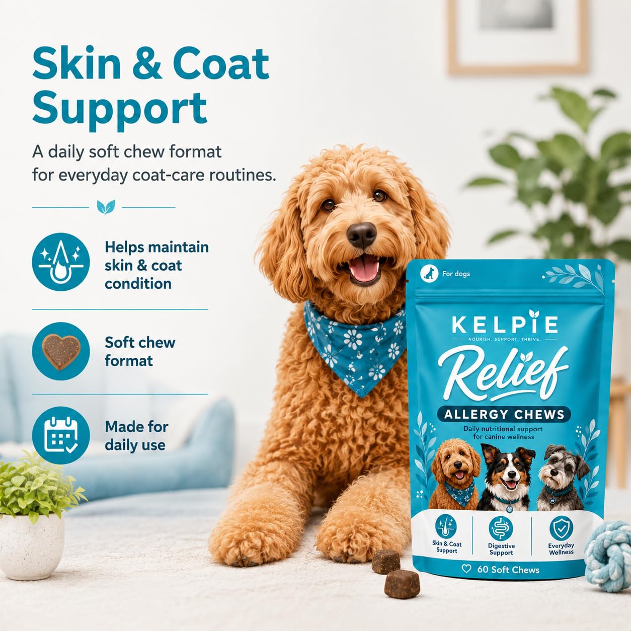 Kelpie Allergy étiquette ingrédients montrant composition pour peau et digestion