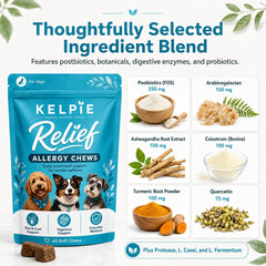 Kelpie Allergy gros plan pastille molle illustrant texture appétente et praticité