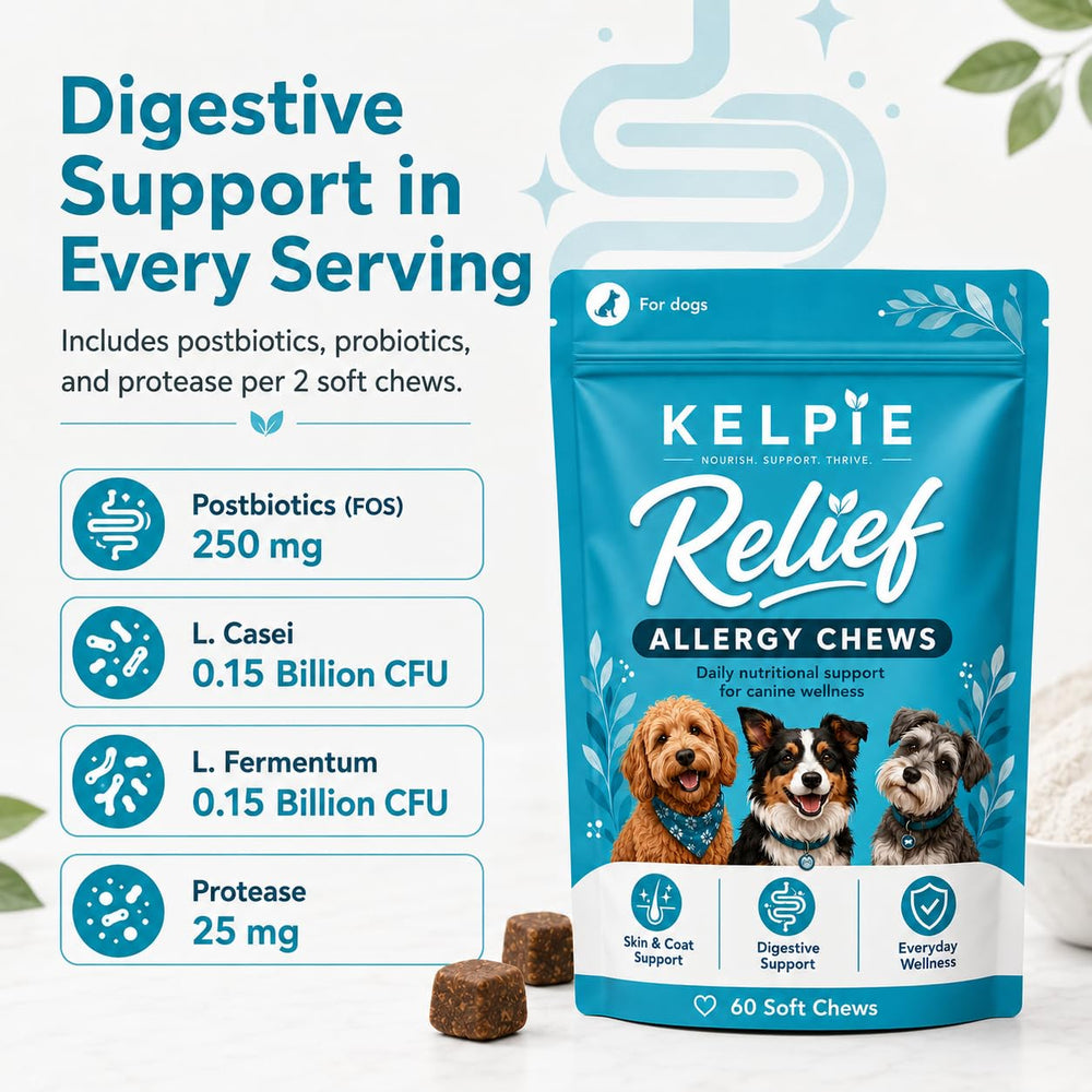 Kelpie Allergy poche refermable qui conserve fraîcheur et facilite le stockage