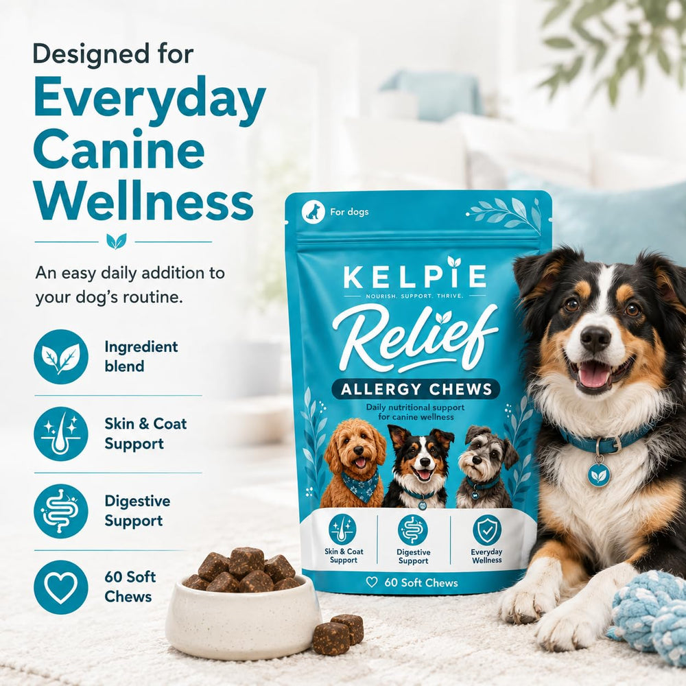 Kelpie Allergy comparaison taille indiquant portion et quantité des pastilles