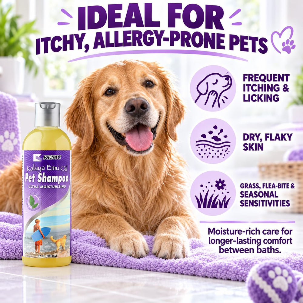 Kenic chat lavé avec mousse légère illustrant douceur adaptée aux félins sensibles