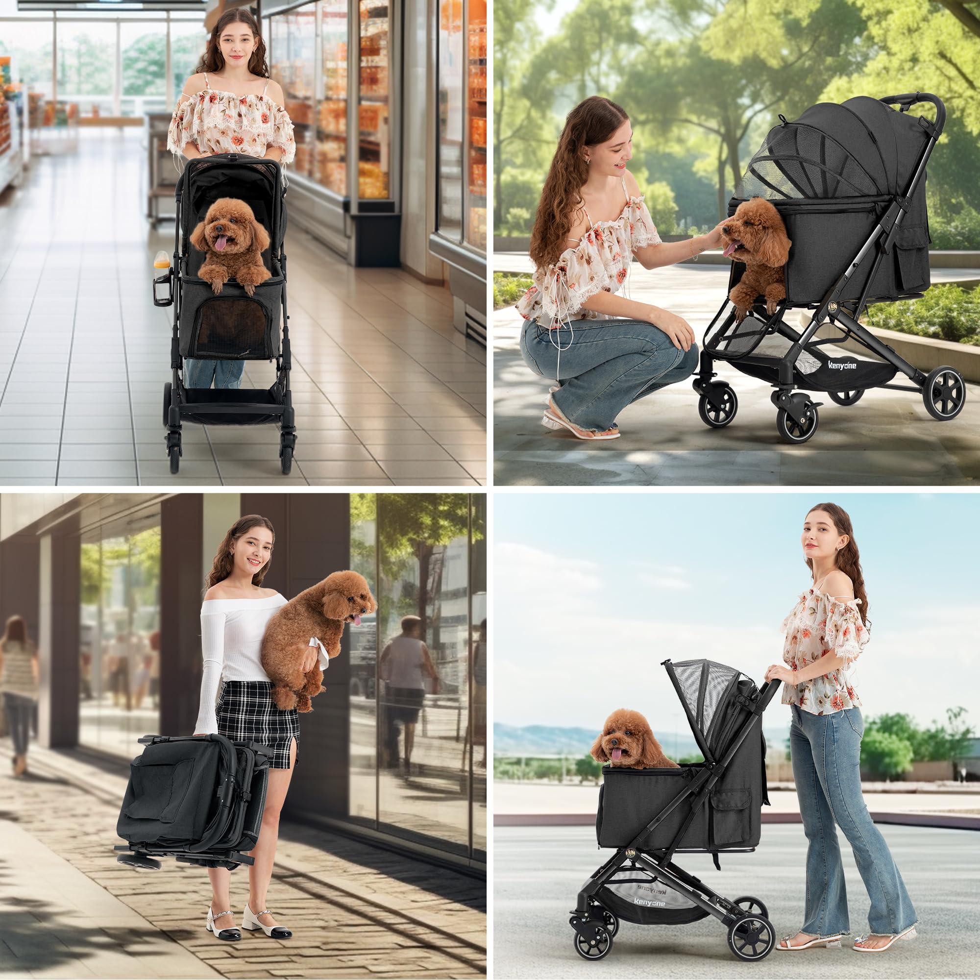 Kenyone comparaison taille montrant capacité pour chien moyen et dimensions