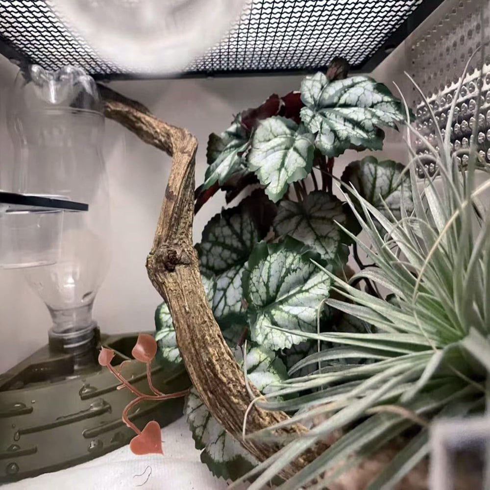 KERUIDENG base lestée solide garantissant stabilité dans le terrarium