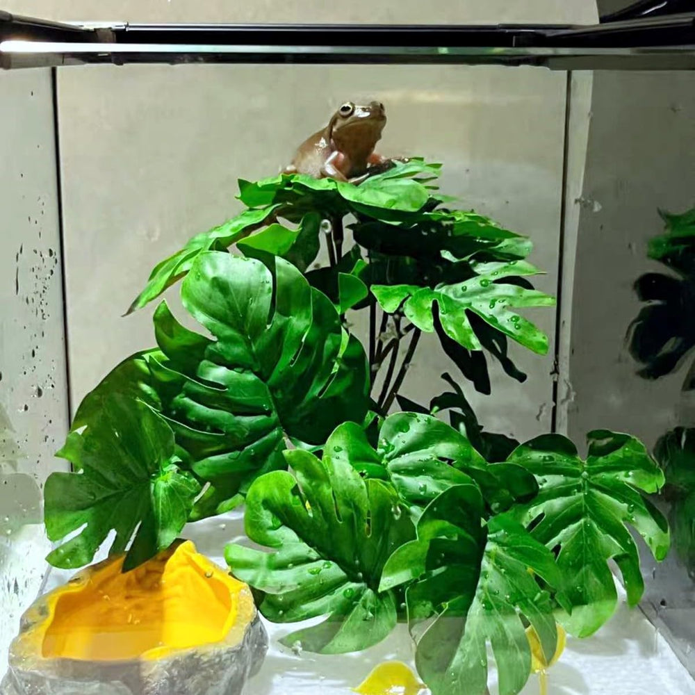 KERUIDENG décor de terrarium en situation domestique apportant esthétisme