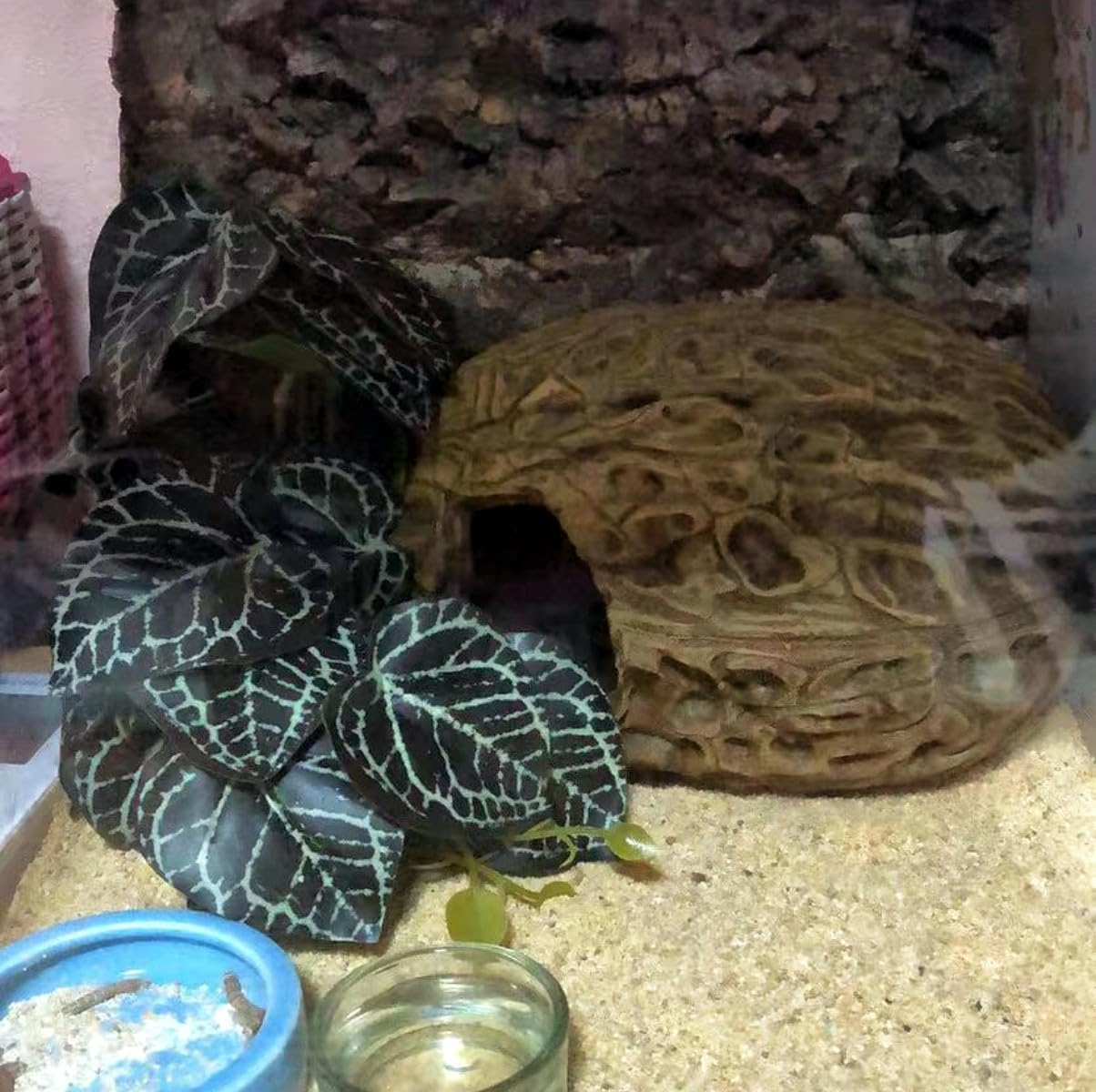 KERUIDENG mise en scène habitat tropical, crée décor immersif