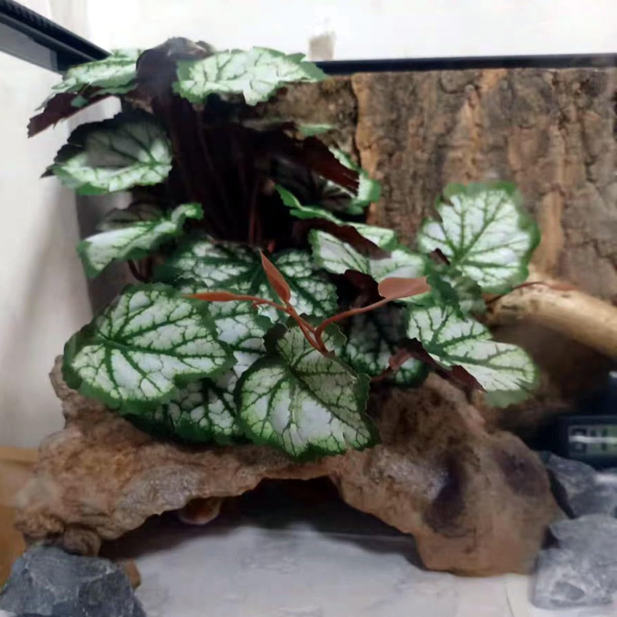 KERUIDENG décor posé en mise en scène améliorant l'esthétique du vivarium