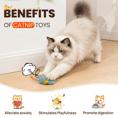 KesterlsShopping chat en train de jouer stimulant exercice et chasse naturelle