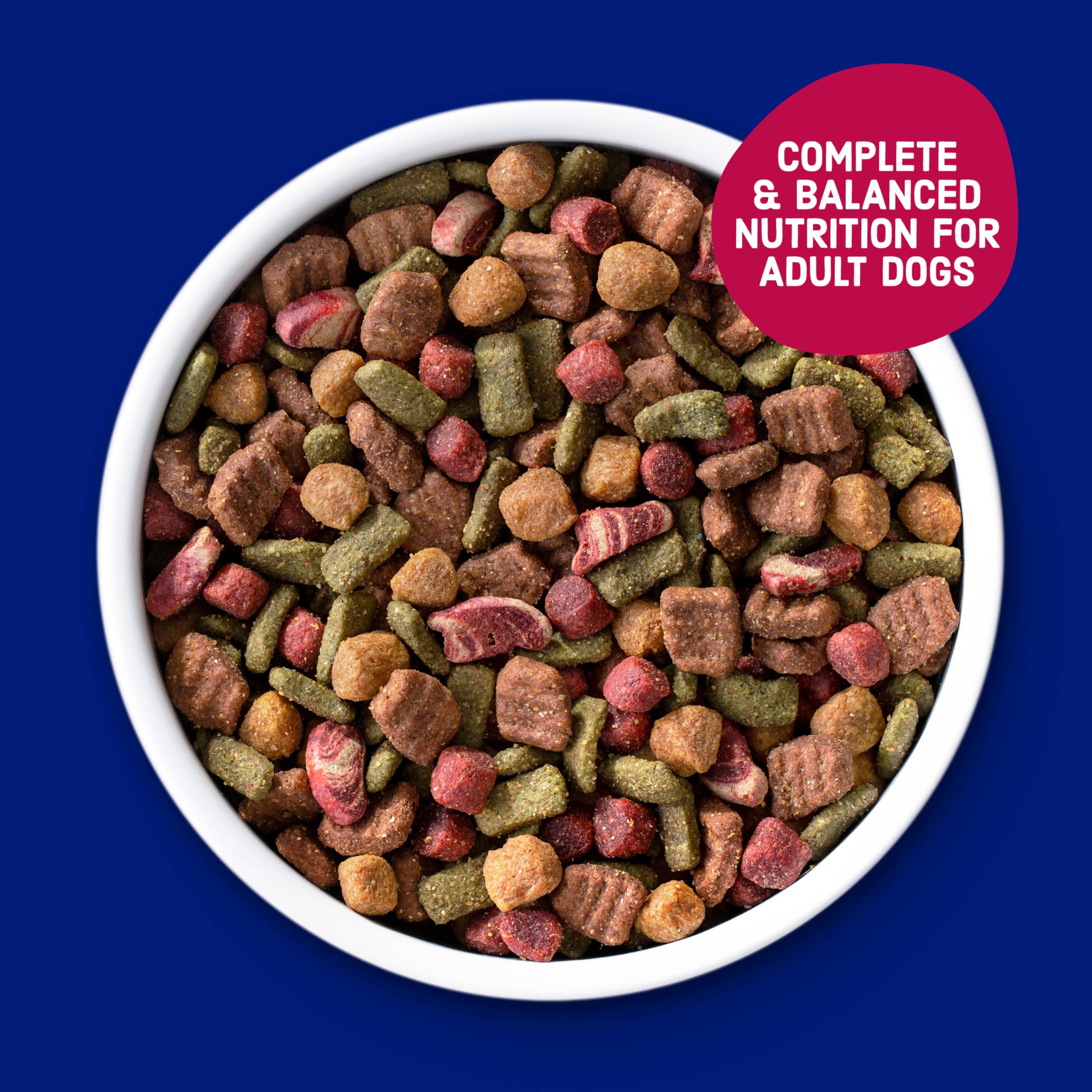 Kibbles 'n Bits croquettes dans une gamelle pour un repas équilibré