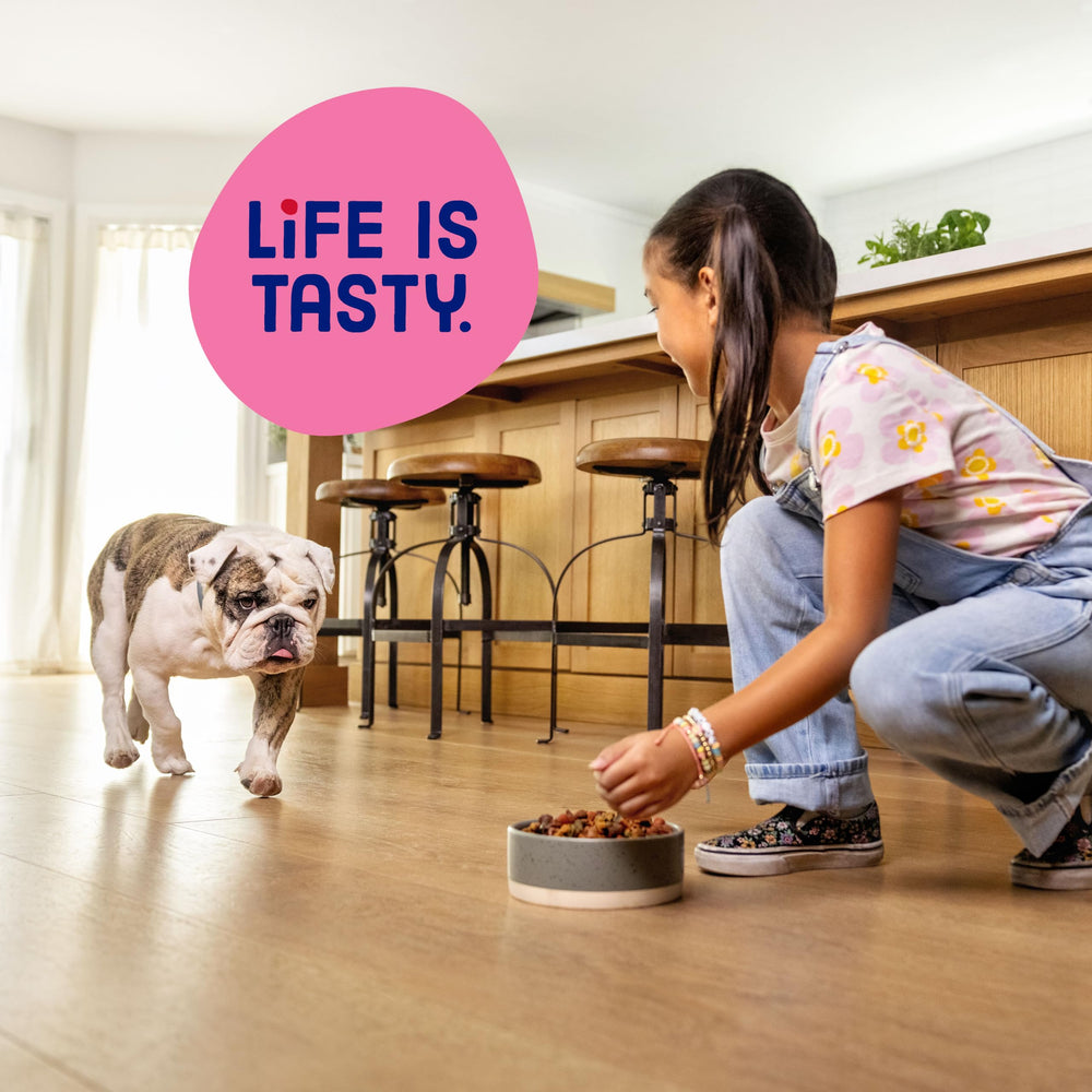 Kibbles 'n Bits croquettes avec eau montrant réhydratation optionnelle