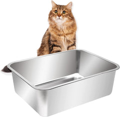 Kichwit vue avant montrant la forme solide et l'espace confortable
