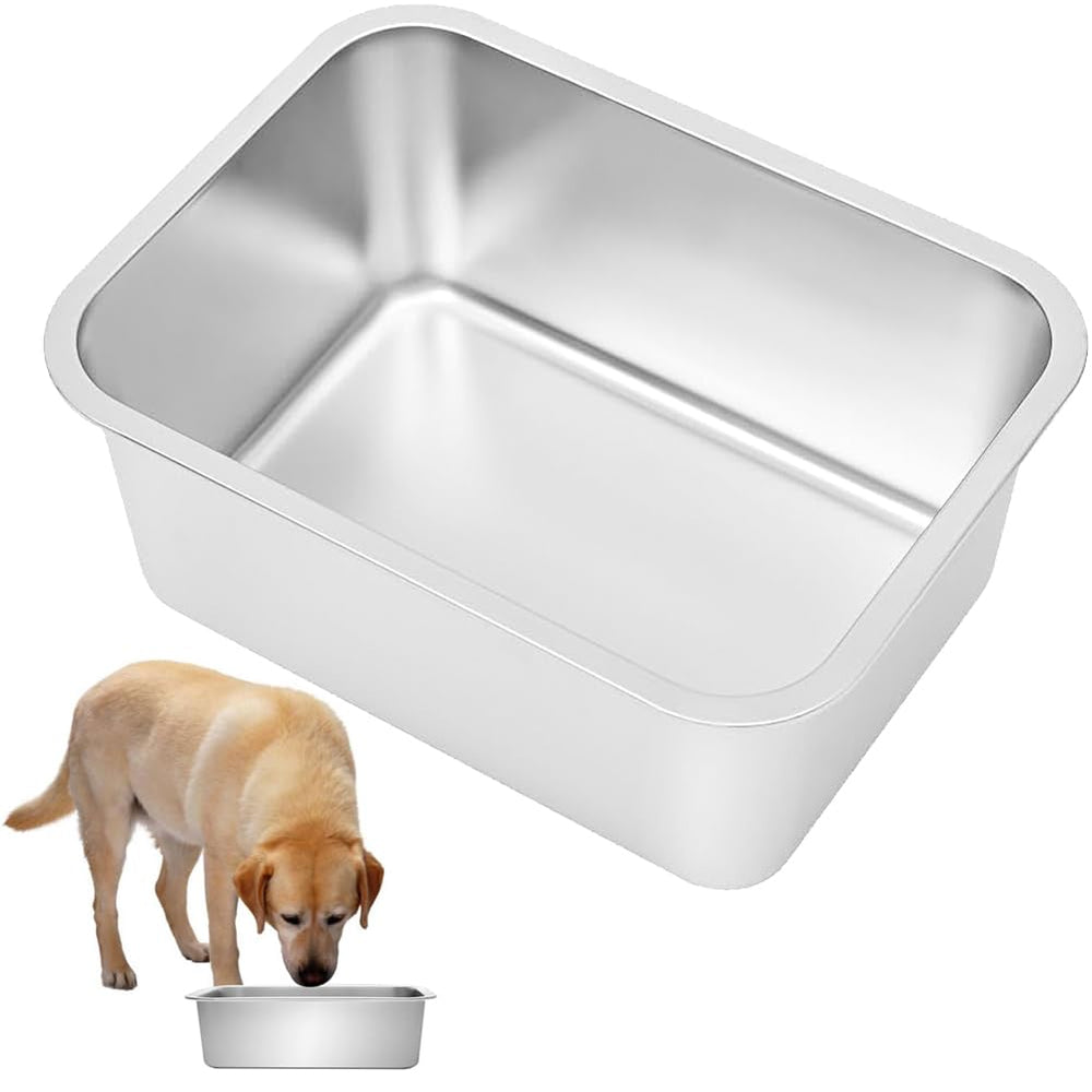 Kichwit bol face avant solide et hygiénique pour repas quotidiens