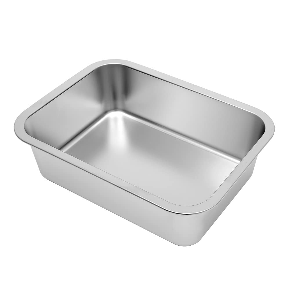 Kichwit gamelle remplie d'eau offrant hydratation facile pour chien