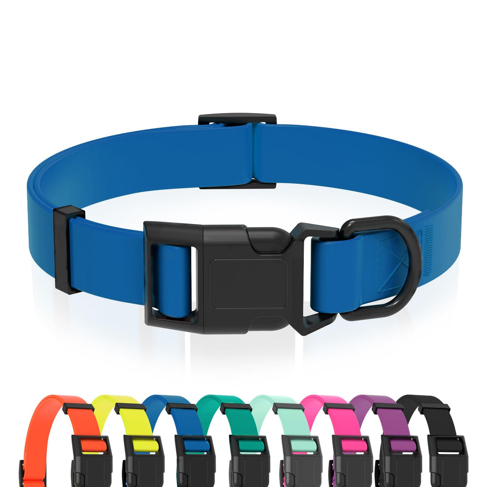 KIDDING PETS collier vue de face montrant design et ajustement convivial