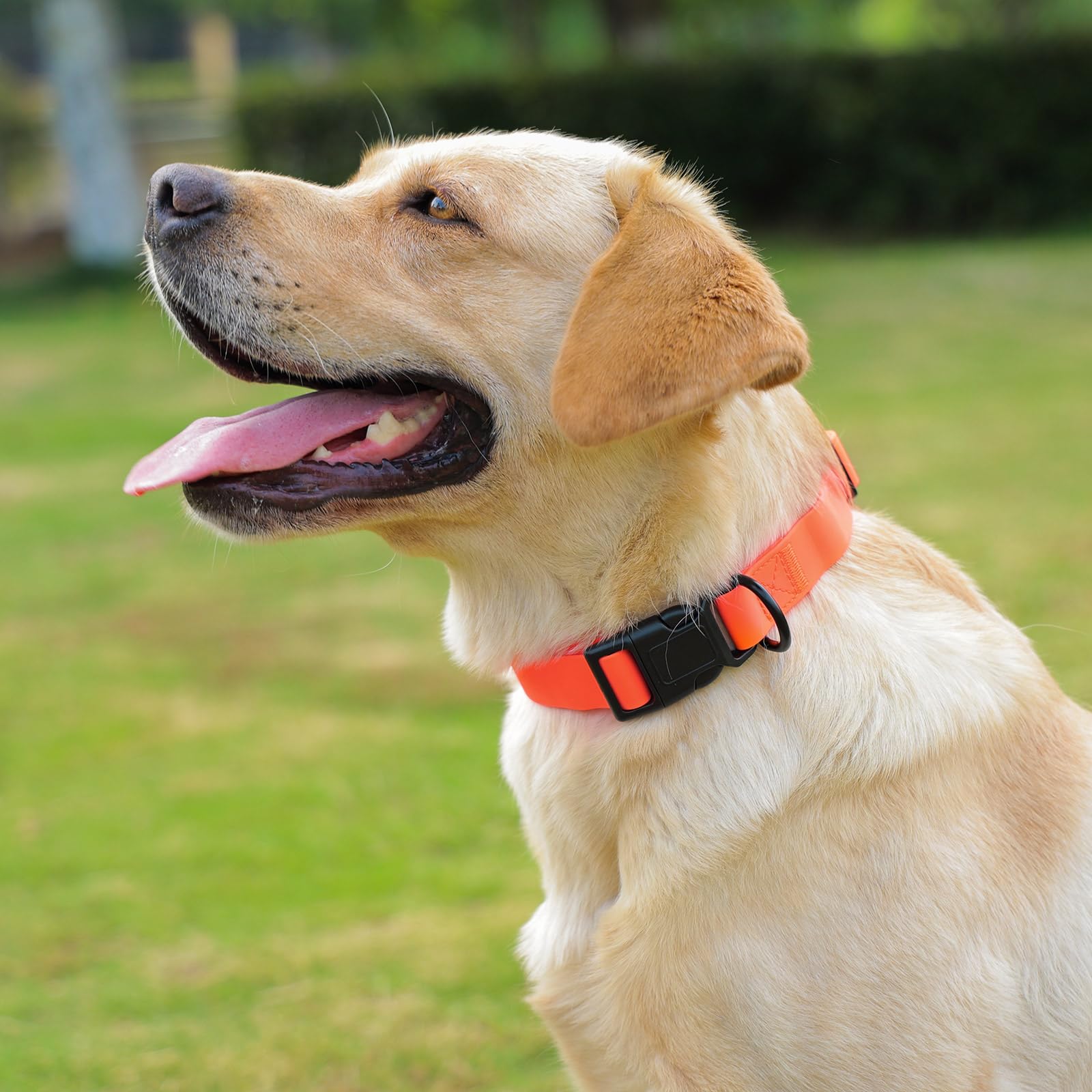 KIDDING PETS comparaison taille montrant réglage M adapté 30–47 cm