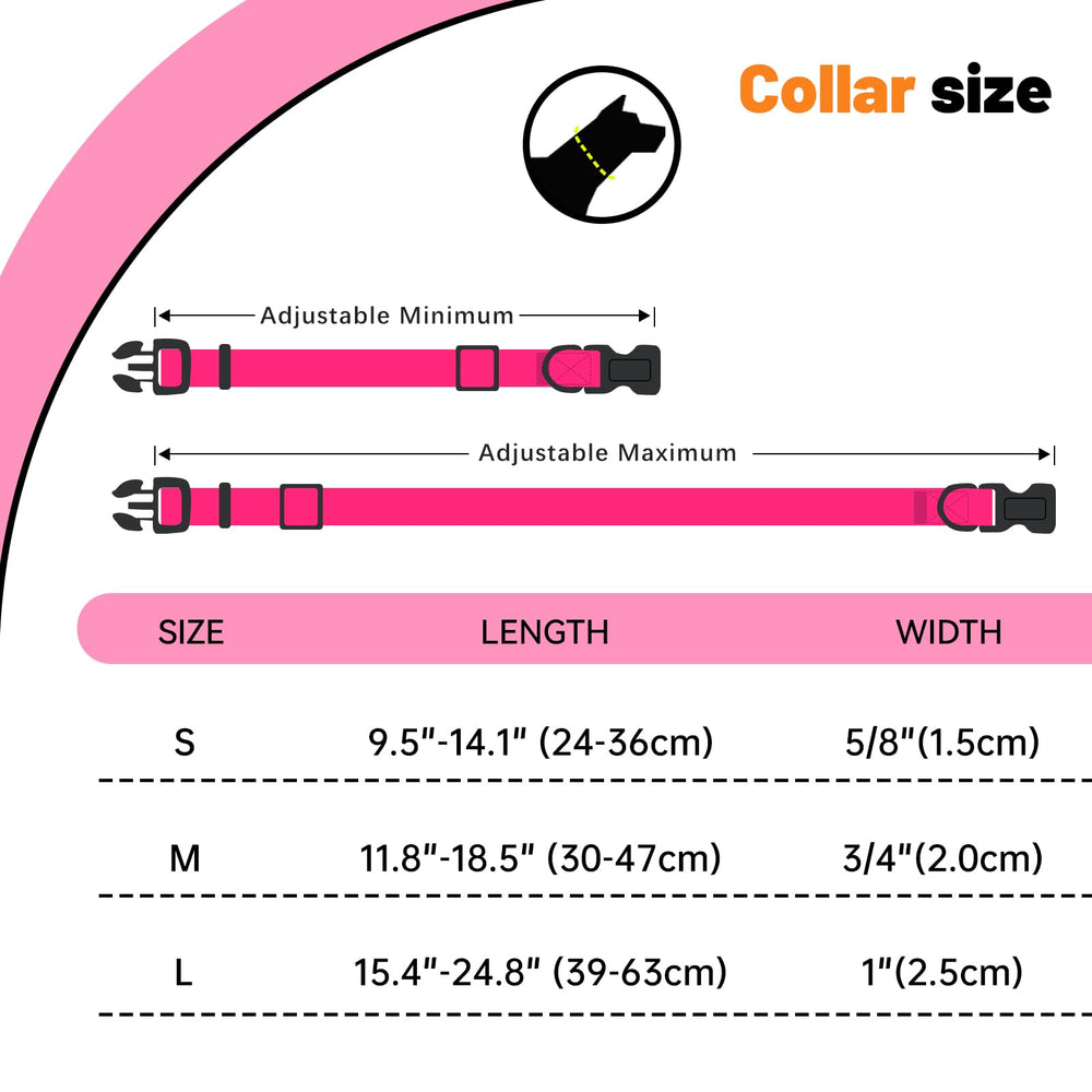 KIDDING PETS comparaison taille pour ajustement sécurisé du collier