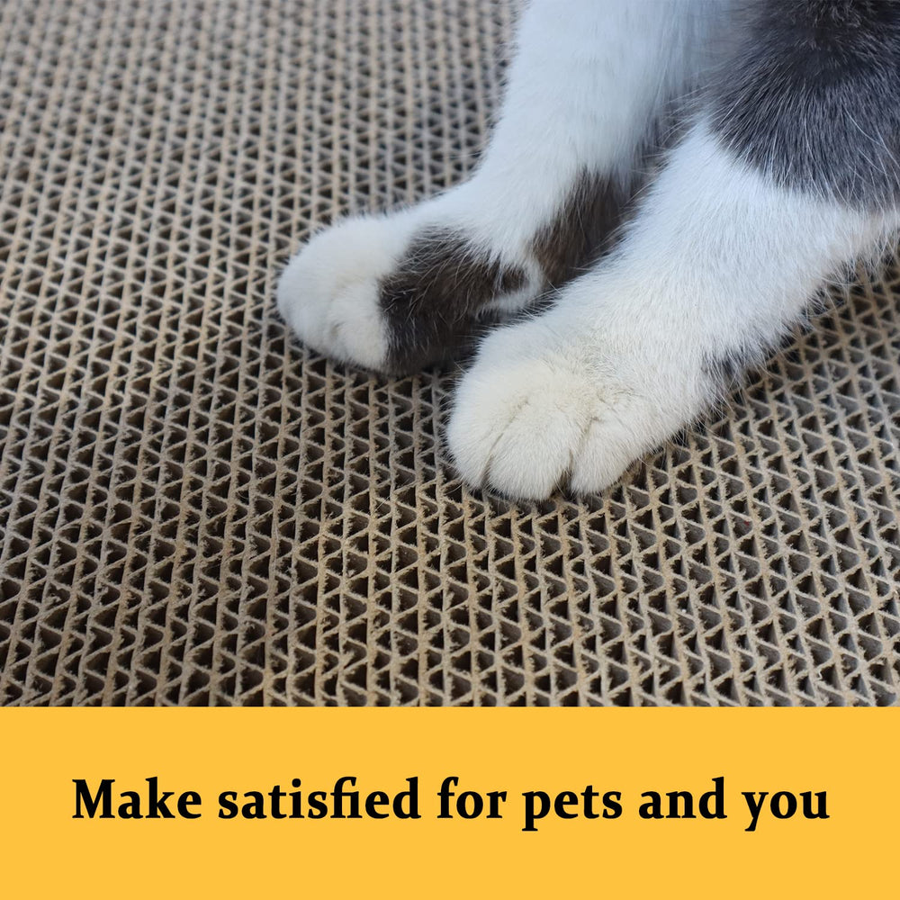 KIDDING PETS sachets d'herbe à chat inclus pour attirer le chat