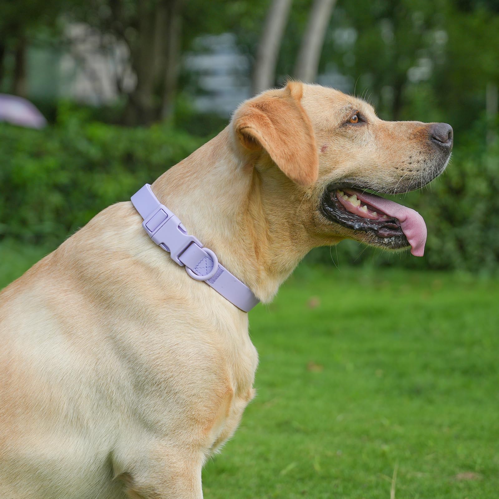 KIDDING PETS guide des tailles comparant petit moyen grand pour ajustement sûr