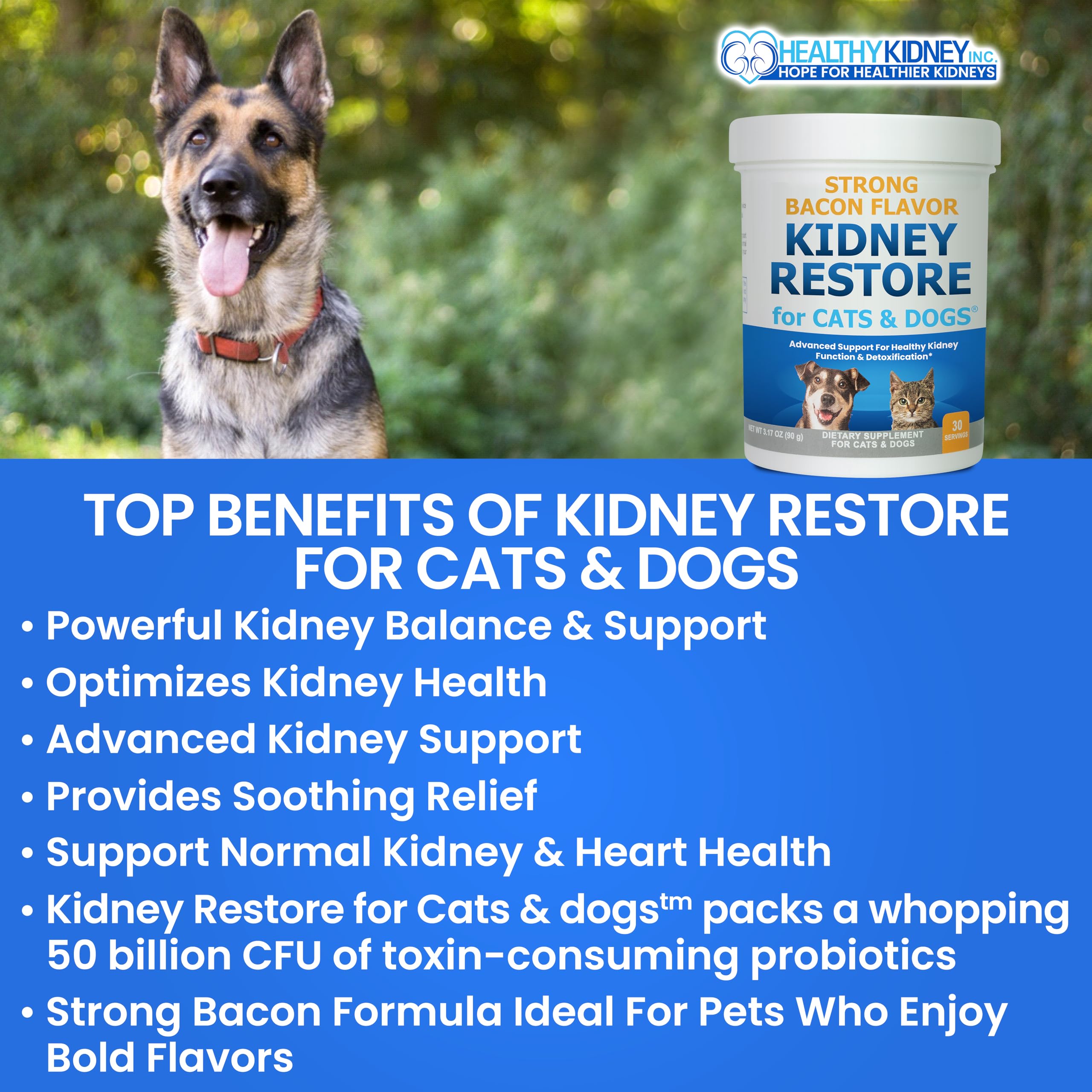 Cuillère doseuse près du pot Kidney Restore illustrant une administration simple