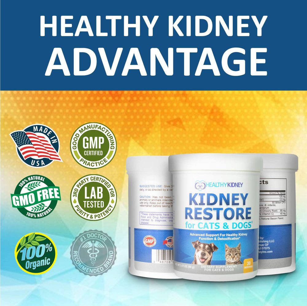 Coin repas apaisant avec Kidney Restore symbolisant routine saine pour animaux